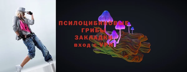 ешки Чердынь