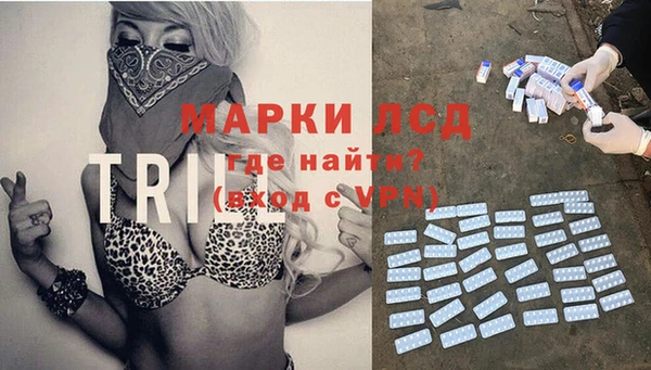 spice Магас