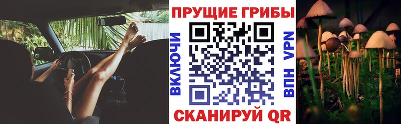 Псилоцибиновые грибы GOLDEN TEACHER  Ядрин 
