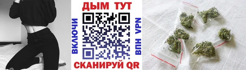 МАРИХУАНА ГИДРОПОН  OMG вход  Ядрин 
